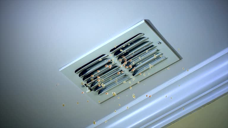 Best HVAC Air Duct Cleaning  in Milton, WV