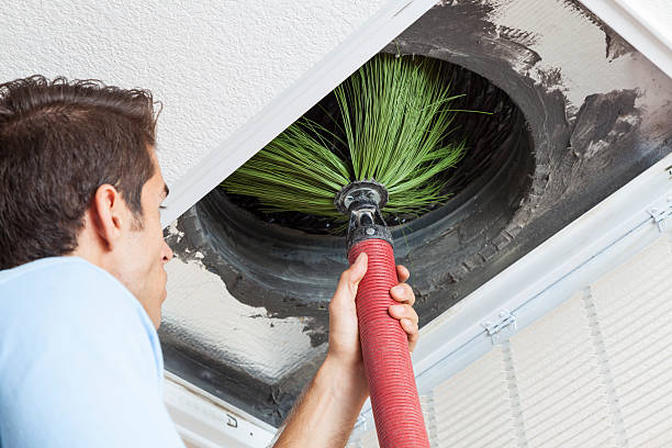 Best Affordable Duct Cleaning Services  in Milton, WV
